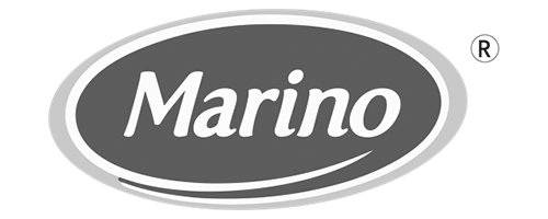 Brand Logo 2
